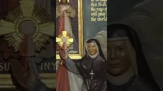 Saint Faustina Diary 1185 inspiration saintfaustina catholic christian christianity god love [upl. by Huan192]