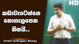 කඩාවැටෙන්නෙ නොගැලපෙන නිසයි  Dinesh Muthugala [upl. by Llehcsreh]