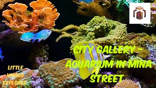 City Gallery  Aquarium in Old Doha Port [upl. by Sulakcin602]