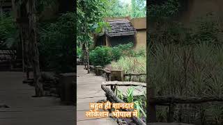 jangal ratnagiri love kolardam [upl. by Wauters]