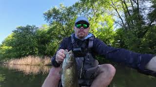 Muddy River GIANT Smallmouth [upl. by Orpah]