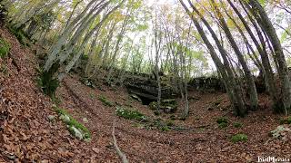 Il respiro del Bosco Sacro di Angitia ❤️ [upl. by Atinal]