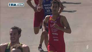 2019 Daman World Triathlon Abu Dhabi  Mens Highlights [upl. by Aivartal]