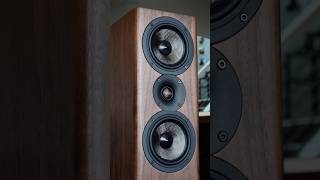 Acoustic Energy AE509’s look and sound incredible [upl. by Winny]