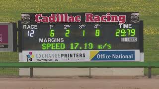 MtGambier06102024Race12 [upl. by Zelikow200]