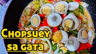 Chopsuey sa gata  Easy and simple recipe  Ginataang Chopsuey [upl. by Cogn]