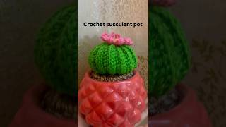 Crochet potted plants  Crochet Succulents  Crochet cactus pot crochetplants crochetpatterns diy [upl. by Aneerehs]