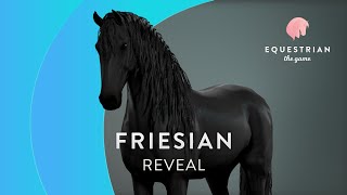 Friesian Breed Showcase [upl. by Llertnom828]