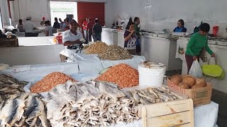 A FEIRA DE CUPIRAPE TEM ABACATE R 050 CARNE R 2000 VEJA A FARTURA ISTO É NORDESTE [upl. by Dlarrej]