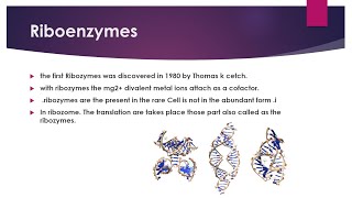 Riboenzyme  types of riboenzymes in Hindi [upl. by Ynobe530]