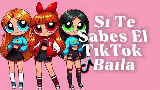 SI TE SABES EL TIKTOK BAILA  2024 [upl. by Arriaes899]