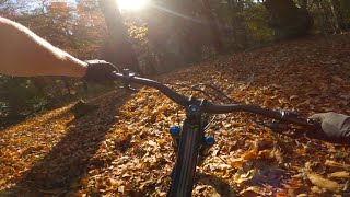 Rushmere Country Park  Ridge Riders MTB Trails [upl. by Massie]