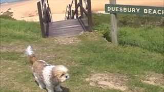 Dalmeny Camping Ground  Bike Ride NSW Australia [upl. by Garik490]