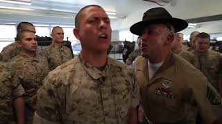 Marine Drill Instructors DESTROYING Recruits [upl. by Tiphanie]