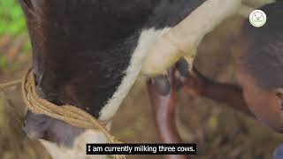 Dairy Farming in Kalangala District [upl. by Ragnar873]