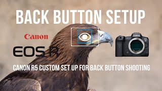 Canon R5 Back Button Auto Focus Custom Setup [upl. by Hceicjow]