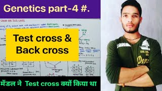 Back cross and Test cross  Genetics part4  BSc 1st year Zoology  MSc CSIR NET life Sciences [upl. by Pompei]