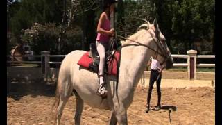 Les activités pendant vos vacances au Yelloh Village La Petite Camargue [upl. by Ecinahs]