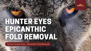 Hunter Eyes  Epicanthic Fold Removal  Powerful Subliminal [upl. by Hike]