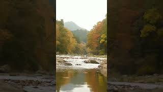 Autumn river sounds autumn river [upl. by Lerraf709]