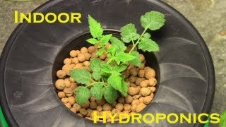 Hydroponic Indoor Winter Garden 20122013 Kick Off [upl. by Elahcar]