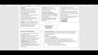 Pathology 12  Mohammed Shatnawi [upl. by Yrrem109]