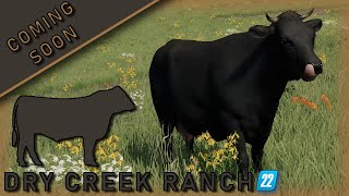 NEW SERIES  Dry Creek Ranch Trailer  FS22 [upl. by Amol]