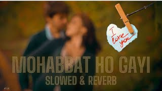 MOHABBAT HO GAYI  SLOWED amp REVERB [upl. by Nylicaj613]