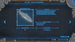 BotW Stealthfin Trout Location [upl. by Annaul]