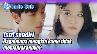 Indo SubPasangan PanasIstriku Seorang Ratu Drama🌟💎BintangBerlianMiniDrama [upl. by Astra]