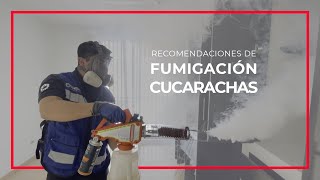 Fumigación de Cucarachas  ✅ Recomendaciones Previas [upl. by Kcid497]