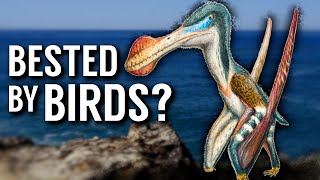 Were Pterosaurs Outcompeted by Birds [upl. by Nabalas]