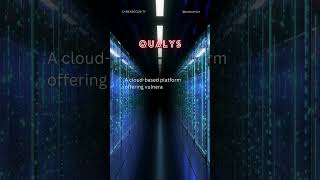 Qualys [upl. by Drannek]