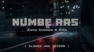 Numbe Ras  Zany Inzane amp Dilo  slowed and reverb [upl. by Wearing75]