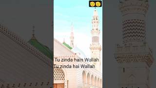 Jummah Mubarak StatusTu Zinda Ha Wallah By Muhammad Awais Raza QadriBeautiful Kalam e Ala Hazrat 🫶 [upl. by Elrak413]