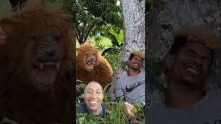 Didatangi harimau jadi jadian travieso funny comedy animals prank humor videoshort lucu [upl. by Bernhard532]