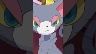 Meet Purrloin Glameow and Litten toadandbuddiespokémon anime [upl. by Lorelle104]