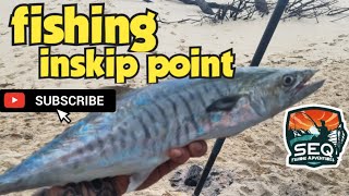 inskip point fishing [upl. by Llekcm]