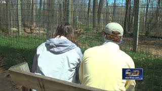 Travel Tuesdays ABC 10 takes on the DeYoung Family Zoo [upl. by Arivle190]