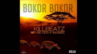 Killbeatz ft Fuse ODG x Mugeex  Borkor BorkorNEW 2016 [upl. by Kalil]