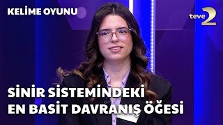 Sinir Sistemindeki En Basit Davranış Öğesi  Kelime Oyunu [upl. by Ytitsahc]