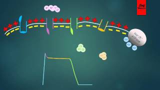 Mechanism of Action of Antiarrhythmic Drugs [upl. by Julienne]