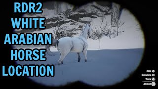 RDR2 WHITE ARABIAN HORSE LOCATION [upl. by Ycart607]