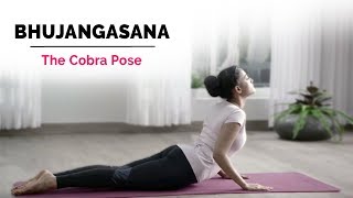 Bhujangasana  Cobra Yoga Pose  Steps  Benefits  Yogic Fitness [upl. by Petulia]