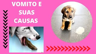 Cachorro vomitando  Saiba identificar os diferentes tipos de vômito [upl. by Nnaeel723]