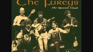 The Fureys  Dainty Davy [upl. by Cyler]