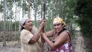 DONA MAROCA BOTOU MORAL NA CASA DO ZÉ [upl. by Heger]