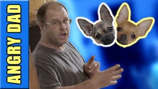 ANGRY DAD GETS A SECOND PUPPY WHILE POOPING [upl. by Philbo]