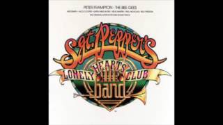 Sgt Peppers Lonely Hearts Club Band Soundtrack 1976 [upl. by Wixted628]