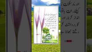 Kush haal Gharana urduquotes urdupoetry islamicquotes islamicpoetryinurdu meraashiana86 urdu [upl. by Giarla]